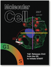 Revista Molecular Cell